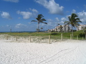 Enlarge photo 159