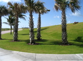 Enlarge photo 163