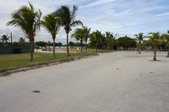 Enlarge photo 116