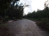 Enlarge photo 36