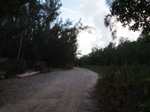 Enlarge photo 35