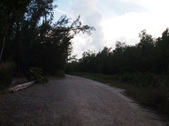 Enlarge photo 37