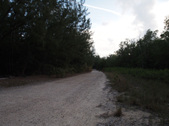 Enlarge photo 38