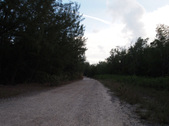 Enlarge photo 39