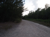 Enlarge photo 41