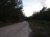 Enlarge photo 40