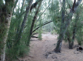 Enlarge photo 42
