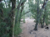 Enlarge photo 43