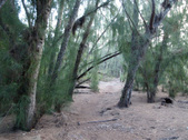 Enlarge photo 44