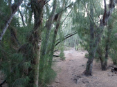 Enlarge photo 45