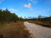 Enlarge photo 46