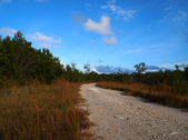 Enlarge photo 48