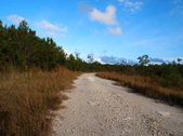 Enlarge photo 47