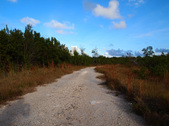 Enlarge photo 49
