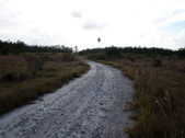 Enlarge photo 50