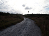 Enlarge photo 51