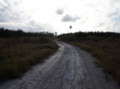 Enlarge photo 52