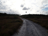 Enlarge photo 53