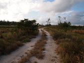 Enlarge photo 54