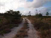 Enlarge photo 55