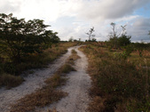 Enlarge photo 58