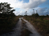 Enlarge photo 56