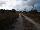 Enlarge photo 57