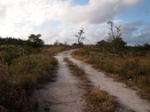 Enlarge photo 59