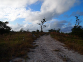 Enlarge photo 61