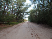 Enlarge photo 62