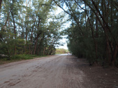 Enlarge photo 63