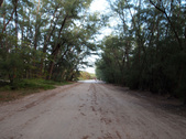 Enlarge photo 64