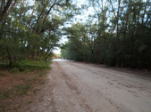 Enlarge photo 65