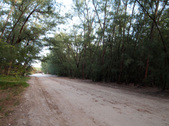 Enlarge photo 66