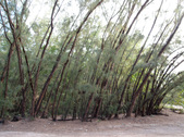Enlarge photo 67