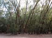 Enlarge photo 69
