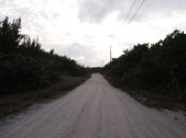 Enlarge photo 68