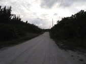 Enlarge photo 70