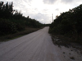 Enlarge photo 71