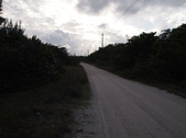 Enlarge photo 73