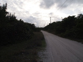Enlarge photo 74