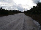 Enlarge photo 75