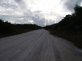 Enlarge photo 78