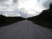 Enlarge photo 81