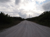 Enlarge photo 82