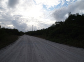 Enlarge photo 83