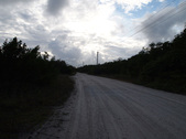 Enlarge photo 85