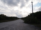 Enlarge photo 87