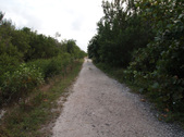 Enlarge photo 88