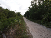 Enlarge photo 89
